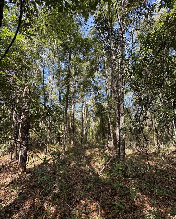 For Sale: $40,000 (0.92 acres)