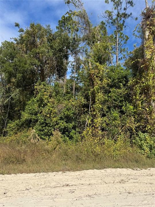 For Sale: $40,000 (0.92 acres)