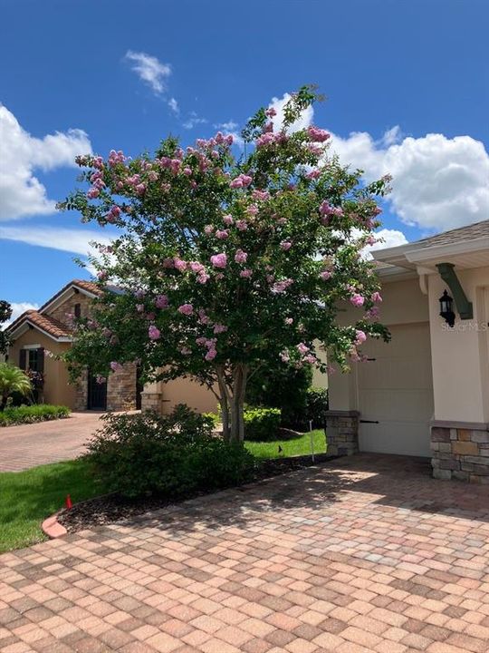 For Sale: $439,000 (2 beds, 2 baths, 2235 Square Feet)