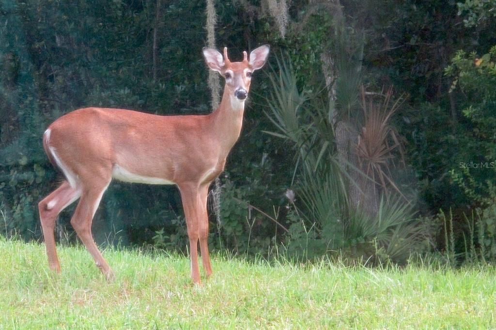 For Sale: $439,000 (2 beds, 2 baths, 2235 Square Feet)