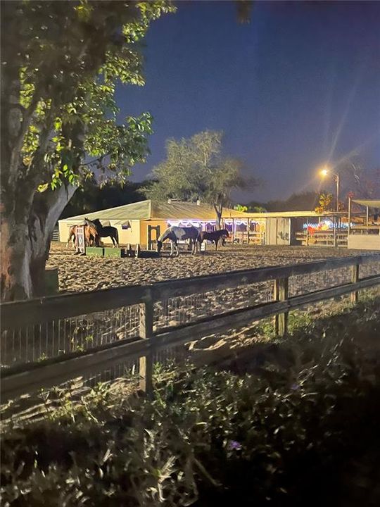 На продажу: $3,100,000 (6 спален, 4 ванн, 6029 Квадратных фут)