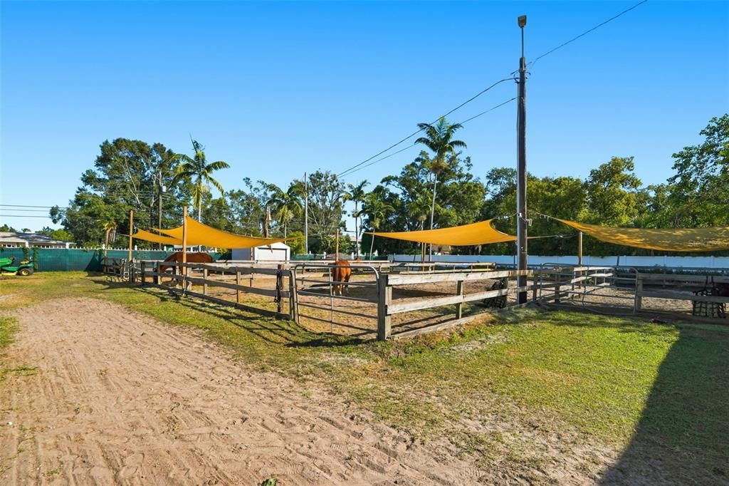 На продажу: $3,500,000 (6 спален, 4 ванн, 6029 Квадратных фут)