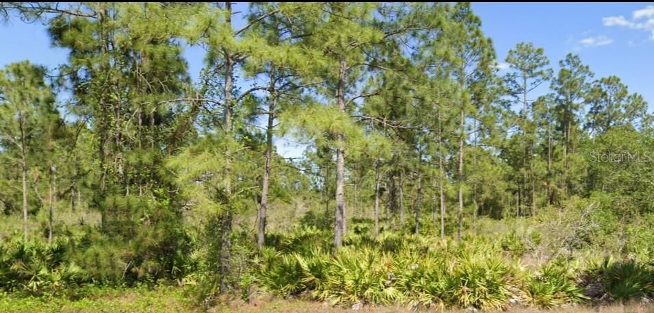 Active With Contract: $30,000 (0.50 acres)