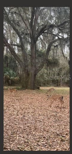 For Sale: $759,900 (3 beds, 2 baths, 3078 Square Feet)