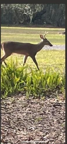 For Sale: $759,900 (3 beds, 2 baths, 3078 Square Feet)