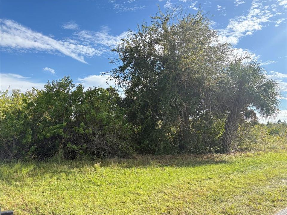 待售: $45,000 (0.26 acres)