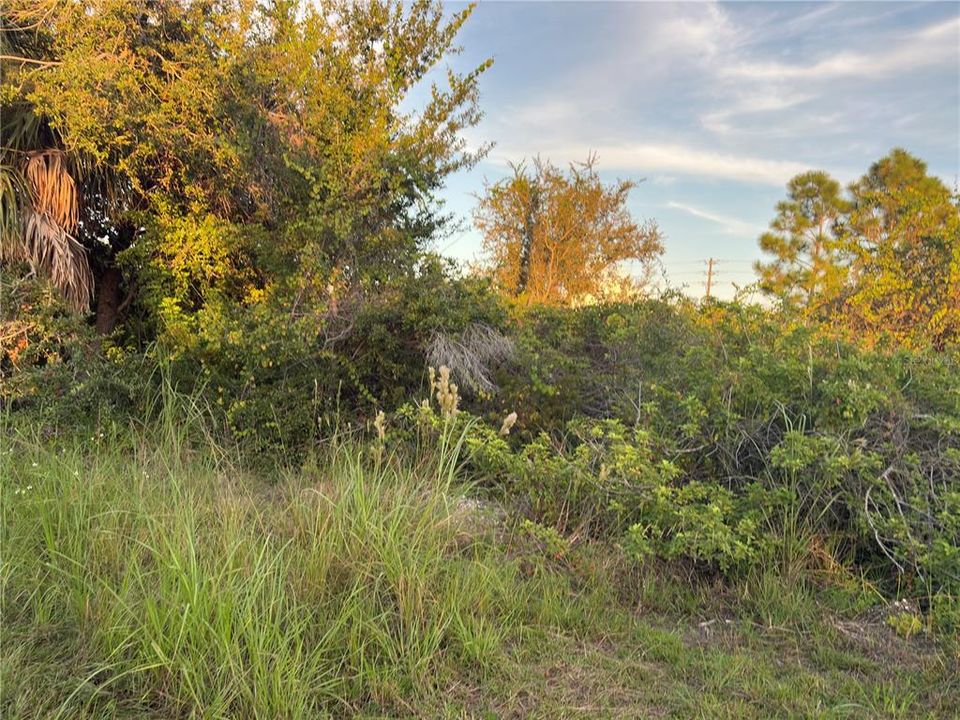 待售: $45,000 (0.26 acres)