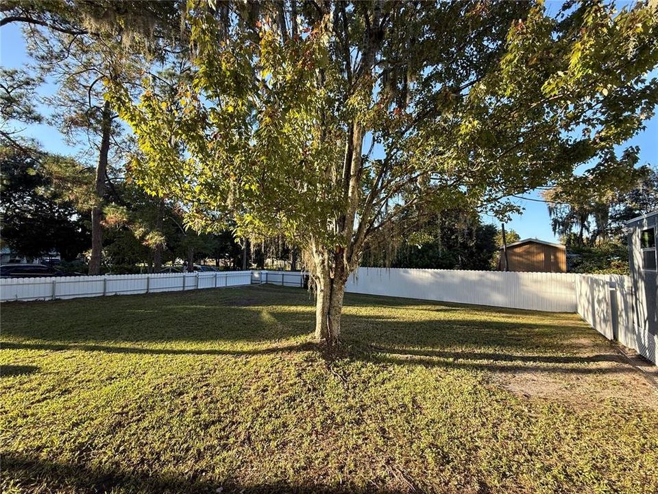 На продажу: $350,000 (3 спален, 2 ванн, 1116 Квадратных фут)