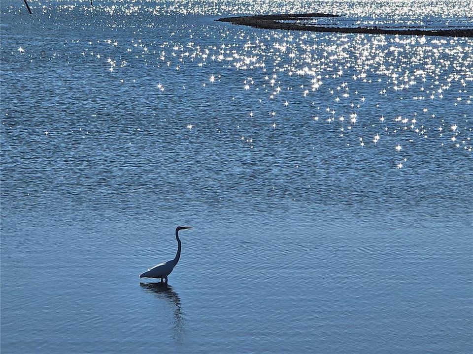 For Sale: $69,000 (0.06 acres)