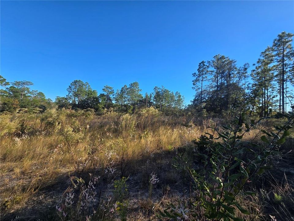 En Venta: $35,000 (0.28 acres)