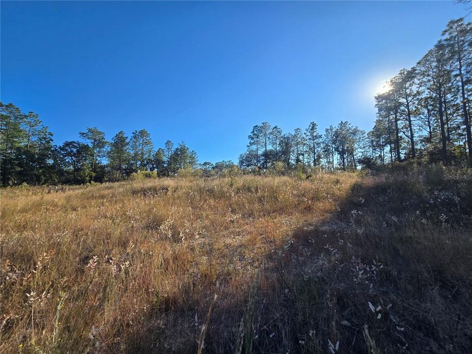 En Venta: $35,000 (0.28 acres)