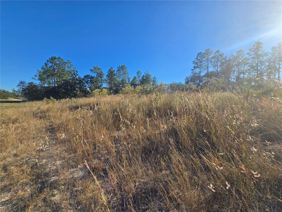 En Venta: $35,000 (0.28 acres)