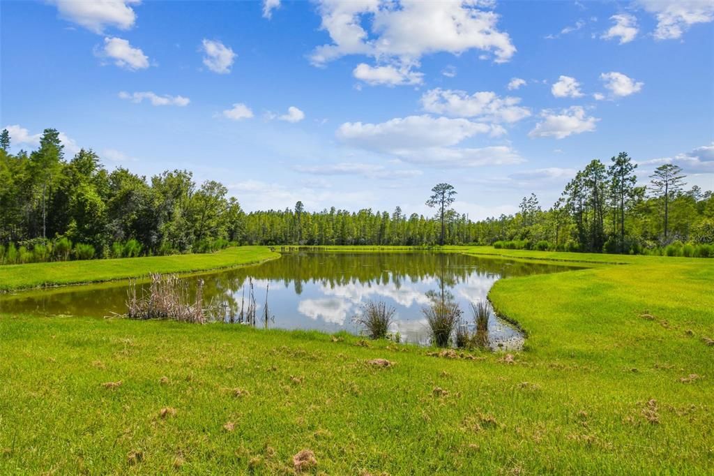 En Renta: $3,200 (4 camas, 3 baños, 2088 Pies cuadrados)
