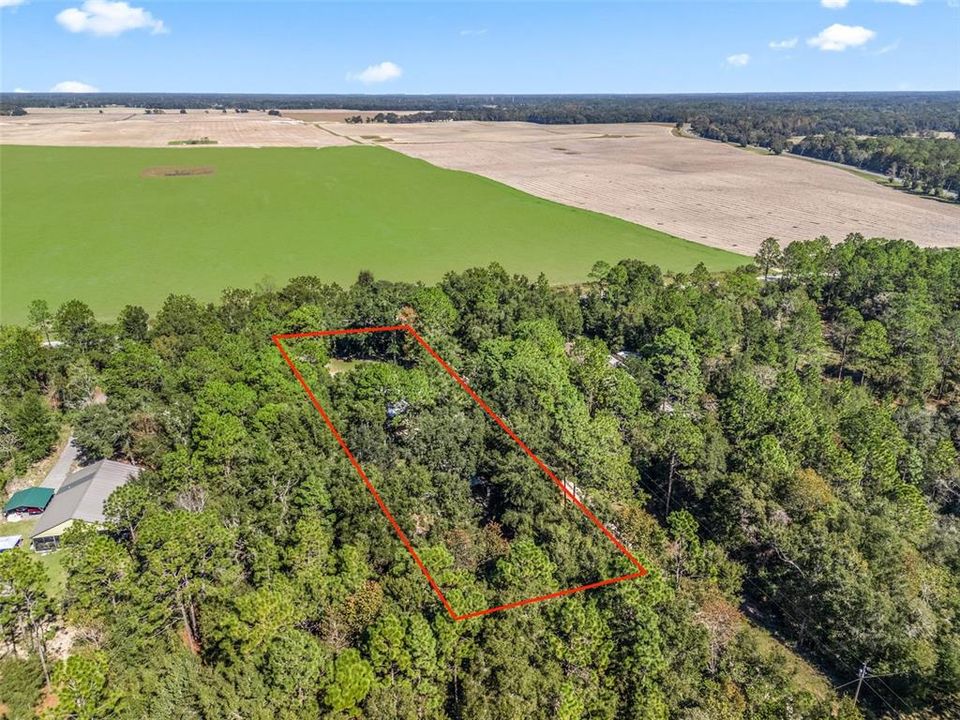 Под контрактом: $295,000 (3 спален, 2 ванн, 1196 Квадратных фут)