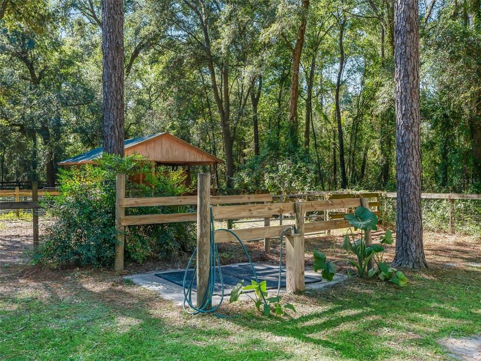 Под контрактом: $295,000 (3 спален, 2 ванн, 1196 Квадратных фут)