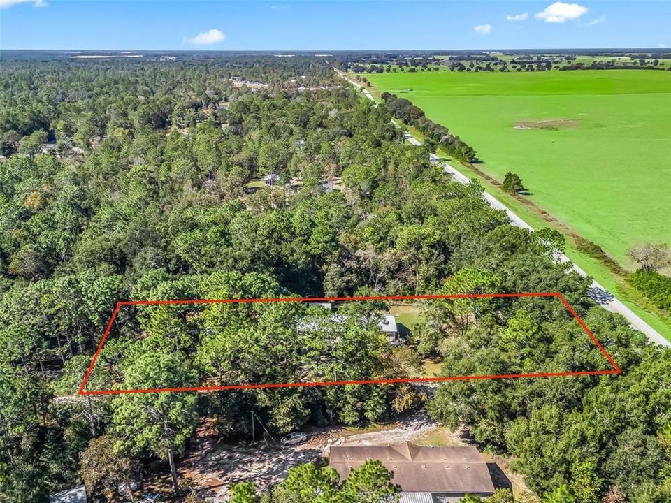 Под контрактом: $295,000 (3 спален, 2 ванн, 1196 Квадратных фут)