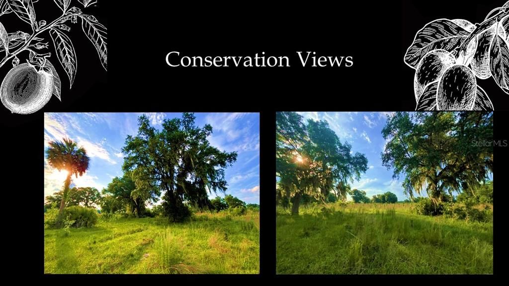 For Sale: $258,000 (1.08 acres)