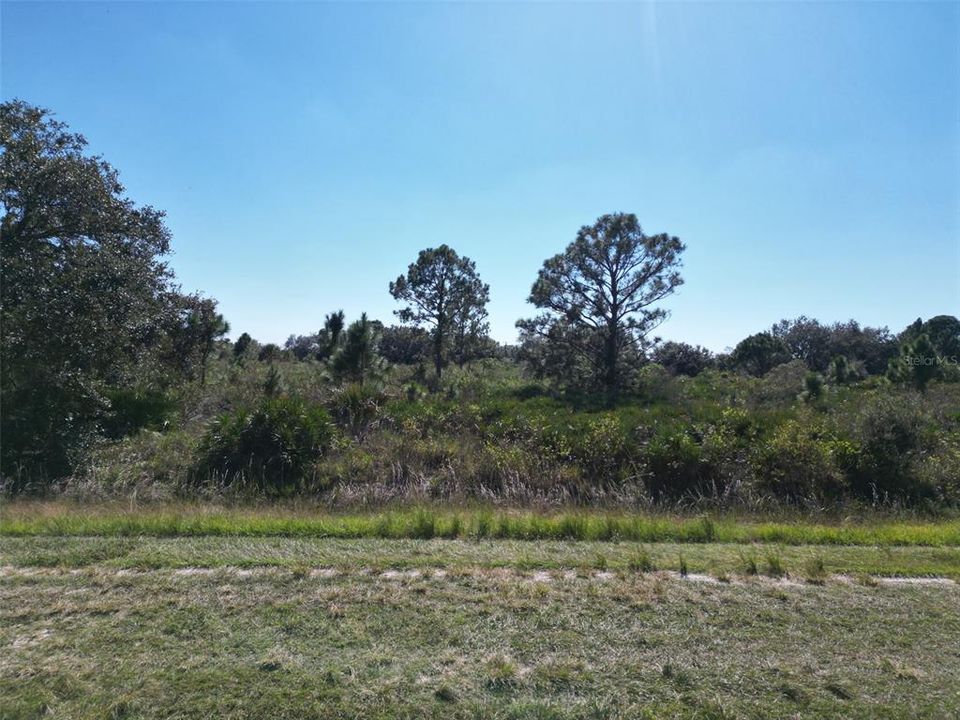 For Sale: $29,995 (1.25 acres)