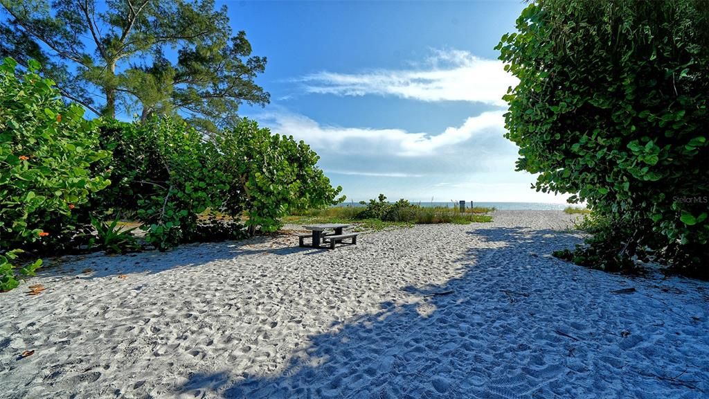 На продажу: $2,895,000 (3 спален, 2 ванн, 2804 Квадратных фут)