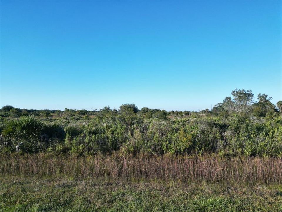 En Venta: $19,900 (1.25 acres)