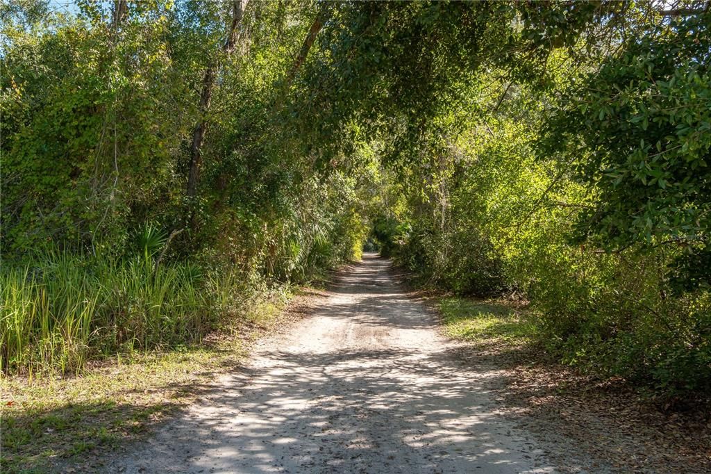 For Sale: $38,000 (1.76 acres)