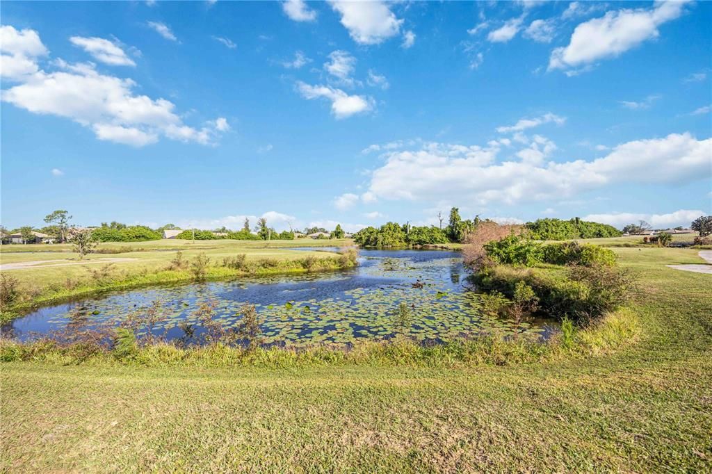 Activo con contrato: $355,000 (3 camas, 2 baños, 1976 Pies cuadrados)