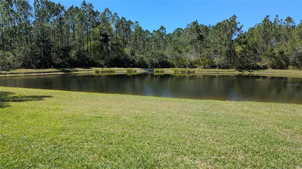 For Rent: $3,100 (4 beds, 2 baths, 2091 Square Feet)