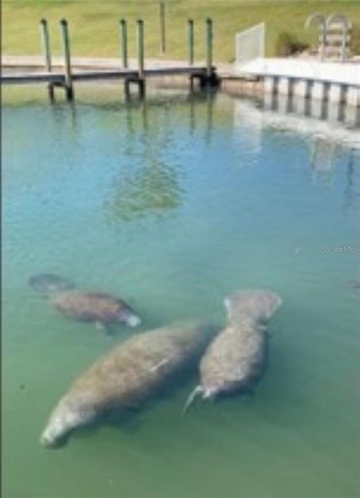 For Sale: $244,900 (2 beds, 2 baths, 884 Square Feet)