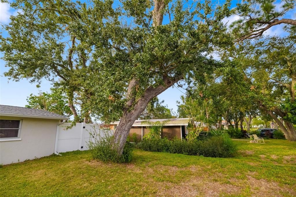 Под контрактом: $395,000 (3 спален, 2 ванн, 1644 Квадратных фут)