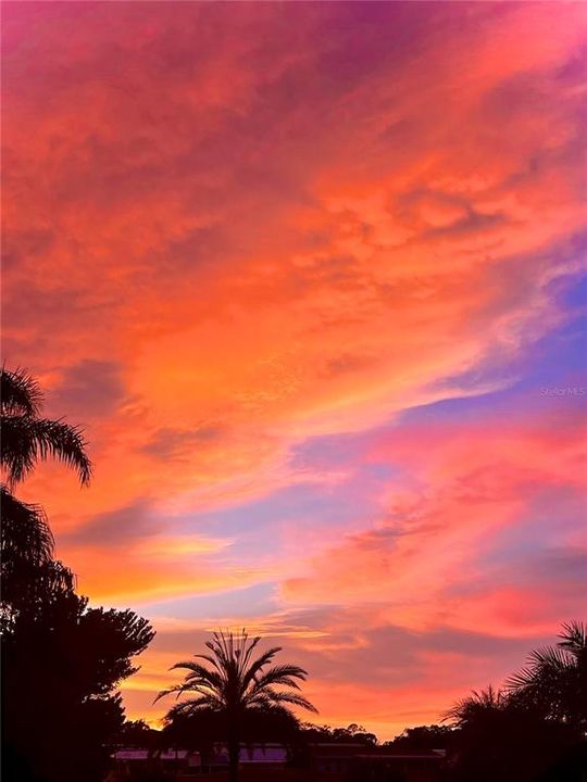 En Venta: $99,900 (0.09 acres)