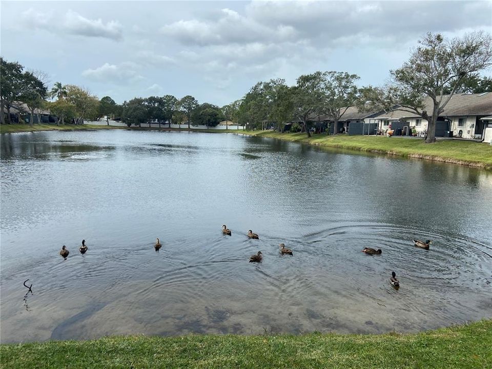 For Sale: $274,900 (2 beds, 2 baths, 1036 Square Feet)