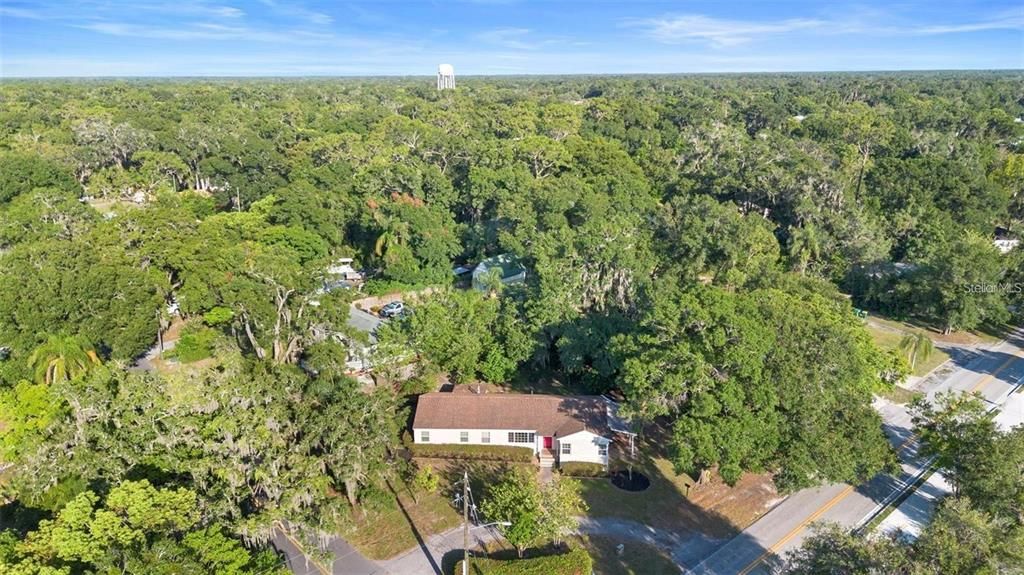 出租: $1,895 (3 贝兹, 2 浴室, 1731 平方英尺)