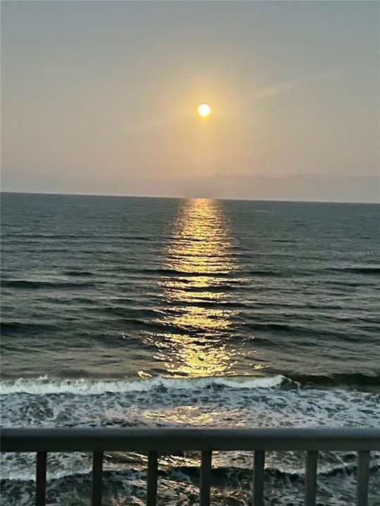 For Sale: $459,900 (1 beds, 1 baths, 1005 Square Feet)