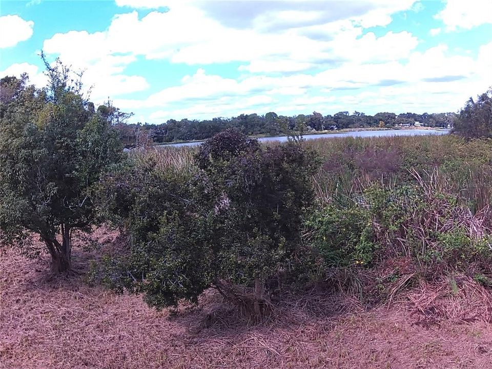 For Sale: $225,000 (0.96 acres)