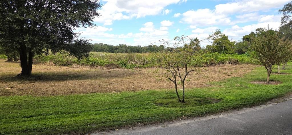 For Sale: $225,000 (0.96 acres)