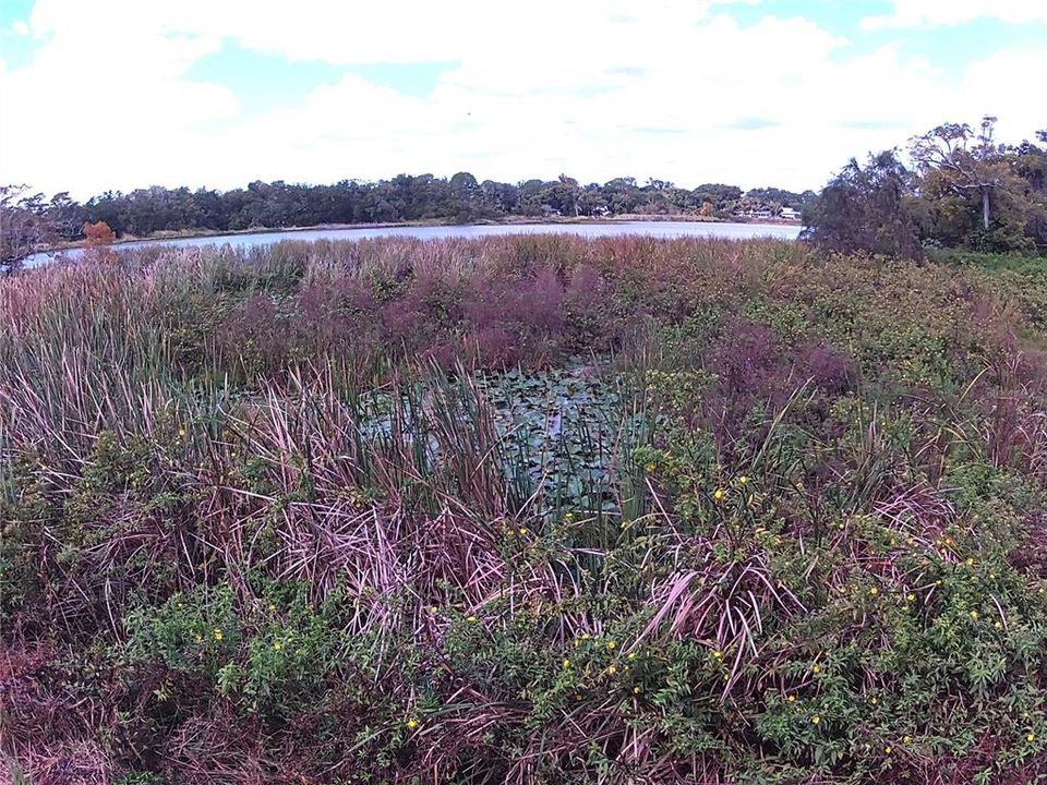 For Sale: $225,000 (0.96 acres)