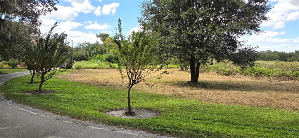 For Sale: $225,000 (0.96 acres)