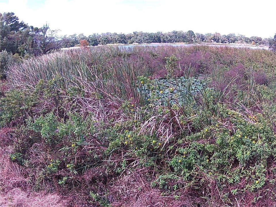 For Sale: $225,000 (0.96 acres)