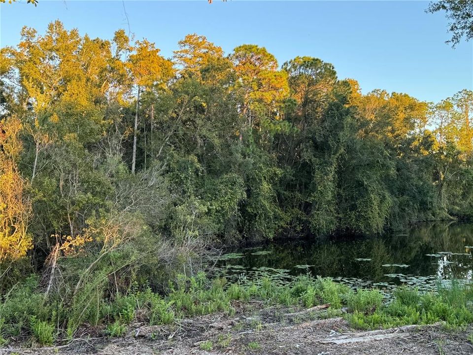 En Venta: $135,000 (0.30 acres)