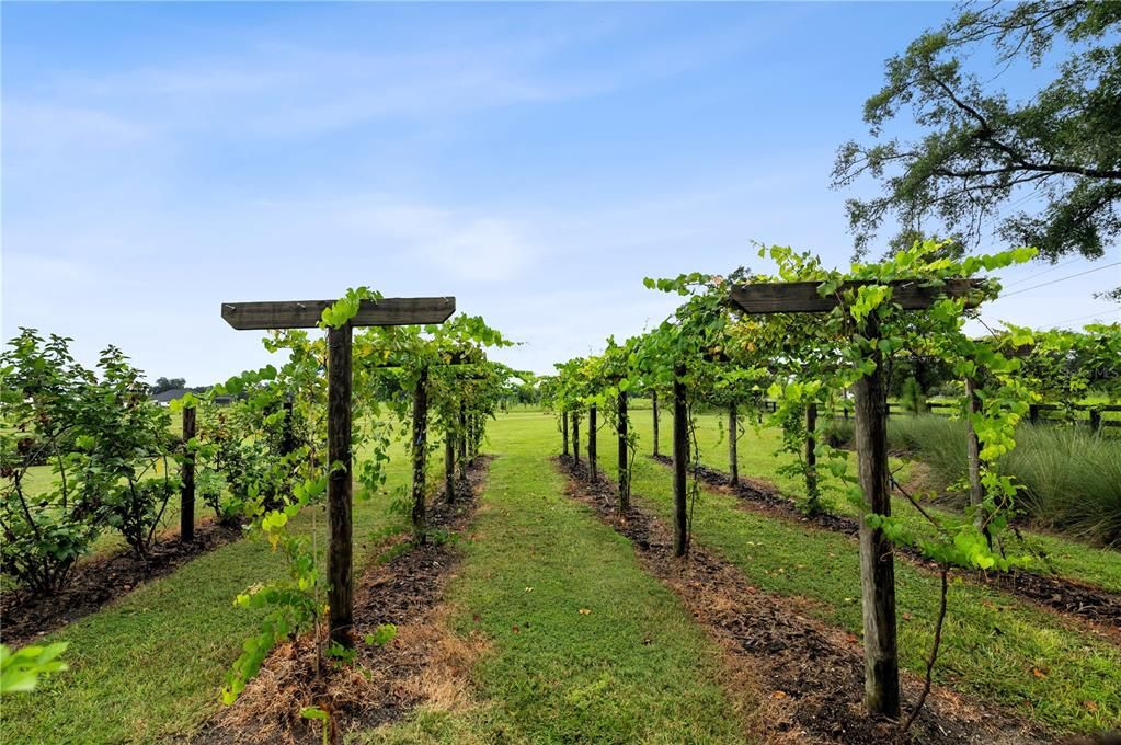 На продажу: $1,749,100 (4 спален, 5 ванн, 3824 Квадратных фут)