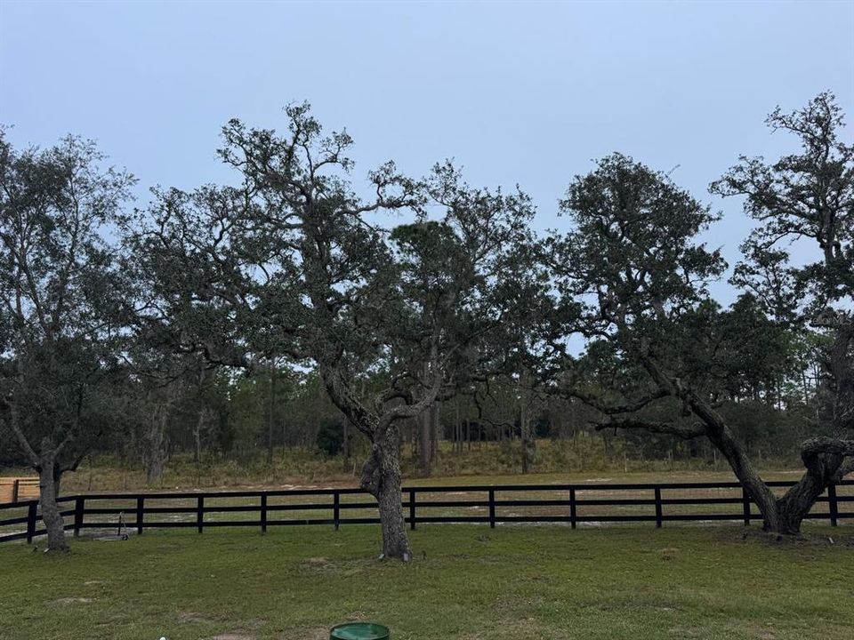 For Sale: $385,000 (3 beds, 2 baths, 1404 Square Feet)