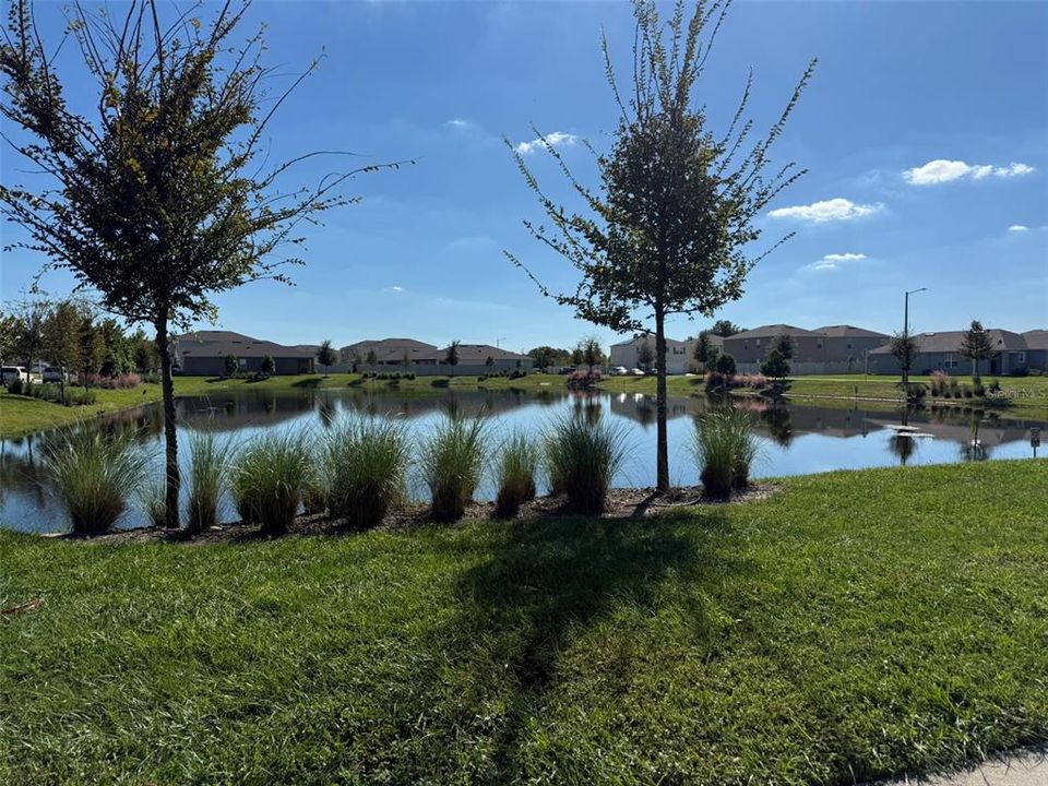 出租: $2,600 (5 贝兹, 3 浴室, 2522 平方英尺)