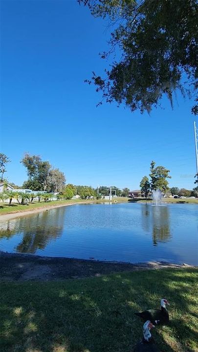 For Sale: $130,000 (4 beds, 2 baths, 3210 Square Feet)