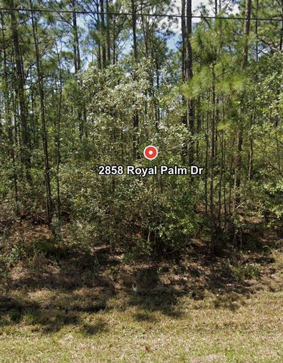 Под контрактом: $35,000 (1.18 acres)