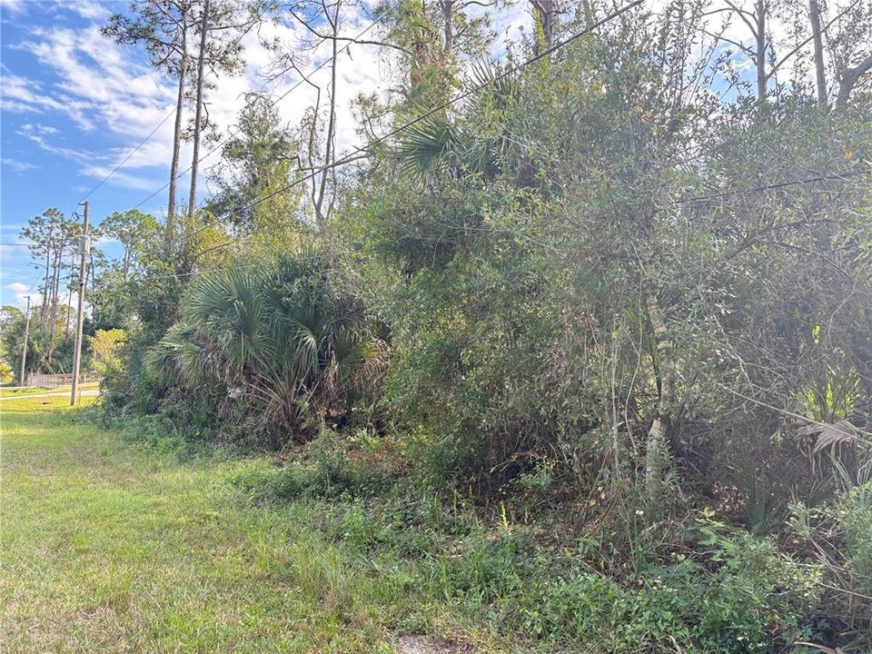 For Sale: $24,000 (0.23 acres)