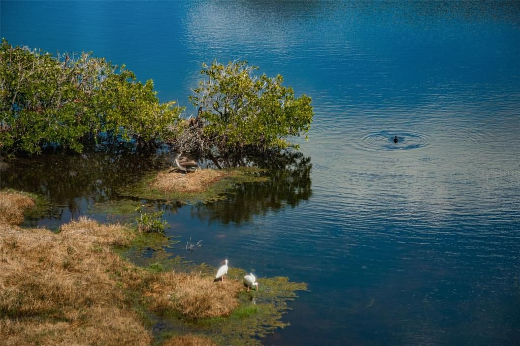 待售: $415,000 (3 贝兹, 2 浴室, 1595 平方英尺)