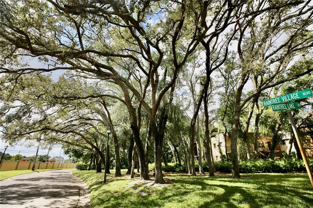 En Venta: $154,900 (2 camas, 2 baños, 960 Pies cuadrados)