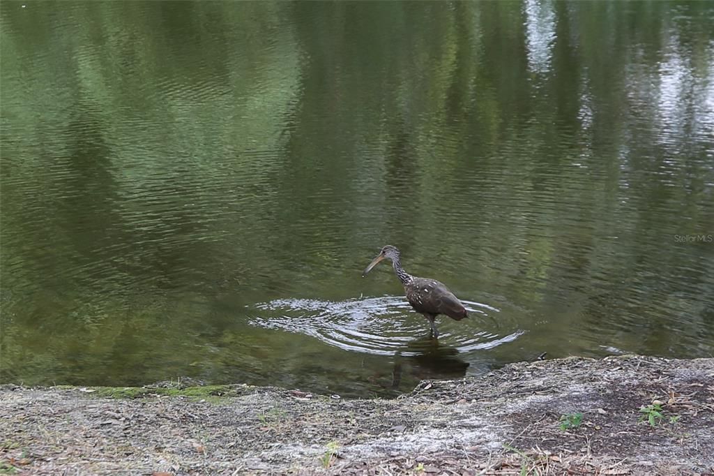 En Venta: $154,900 (2 camas, 2 baños, 960 Pies cuadrados)