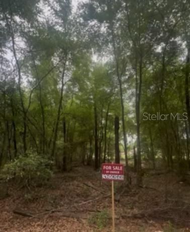 For Sale: $25,400 (0.17 acres)