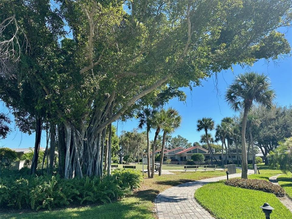 出租: $6,000 (2 贝兹, 2 浴室, 1182 平方英尺)